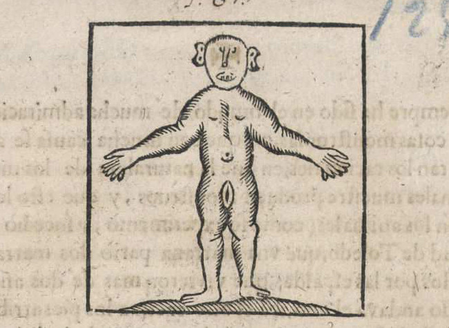 Relacion verdadera y caso prodigioso y raro que ha sucedido en esta Corte el dia catorze de mayo de este año de 1688. VE/24/17