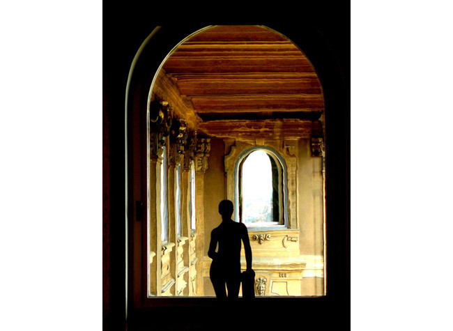 Premio especial: Galería Nacional de Budapest, La espectadora, de Inmaculada Gutiérrez López
