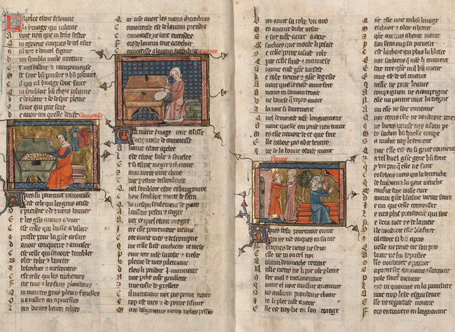 Roman de la Rose. S XIV. Signatura Vitr/23/11