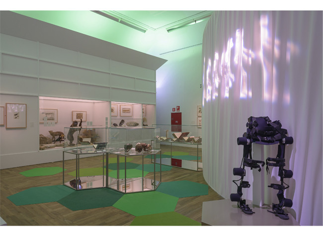 Imagen del montaje de la exposición de Cosmos