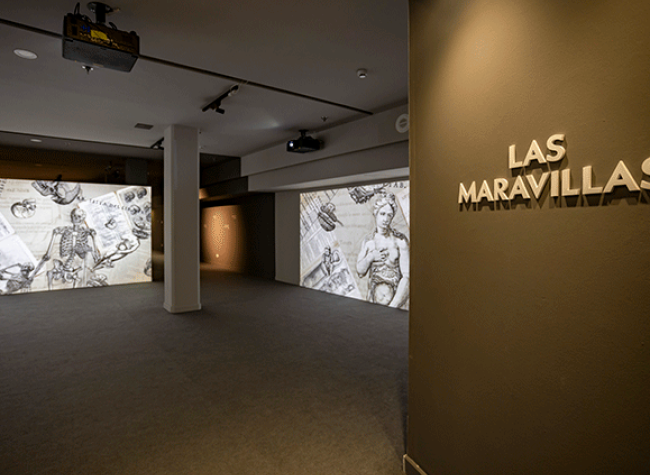 Museo. Recoletos. © Josefina Blanco