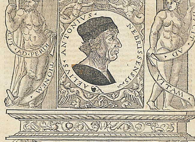 Retrato de Antonio de Nebrija (IH/5546/1)