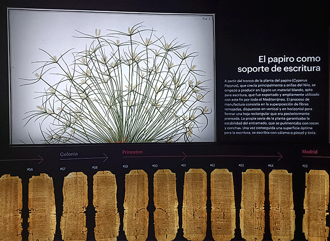 Montaje de la exposición El papiro de Ezequiel. La historia del códice P967