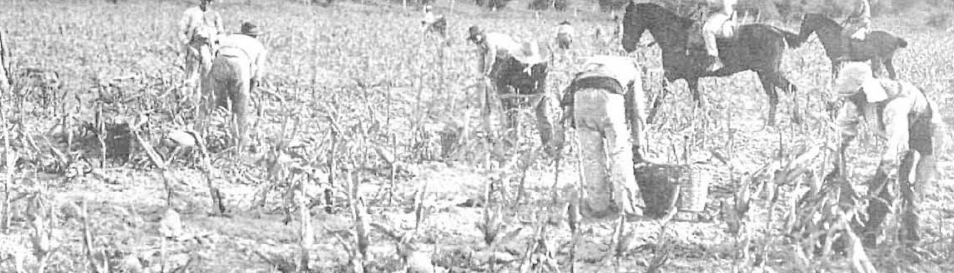 Sequia otoñal.Nuevo-mundo-Madrid-28-11-1930