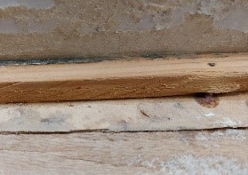 Madera